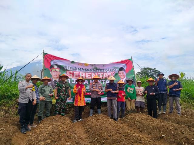 MENANAM JAGUNG SERENTAK 1 JUTA HEKTAR